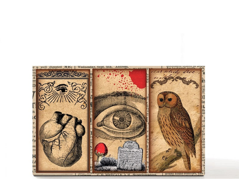 Tarot gothic Halloween magnetic personalized makeup palette for single eyeshadow pans. Nocturnal