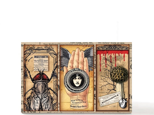 Tarot gothic Halloween magnetic personalized makeup palette for single eyeshadow pans. Venom