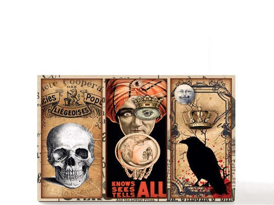 Tarot gothic Halloween magnetic personalized makeup palette for single eyeshadow pans. Fortune Teller