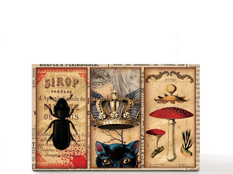 Tarot gothic Halloween magnetic personalized makeup palette for single eyeshadow pans. Chesire