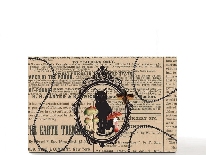 Tarot gothic Halloween magnetic personalized makeup palette for single eyeshadow pans. Chesire