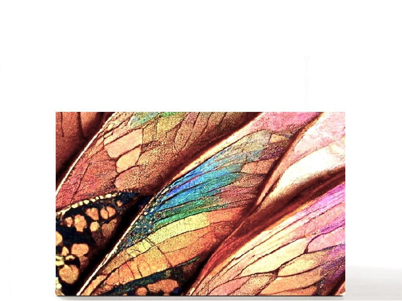 Pretty outdoor nature. Custom magnetic empty makeup palette gift for her. Colorful Butterfly