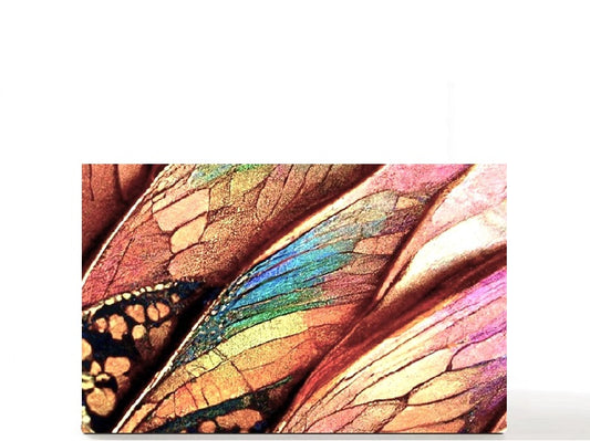 Pretty outdoor nature. Custom magnetic empty makeup palette gift for her. Colorful Butterfly