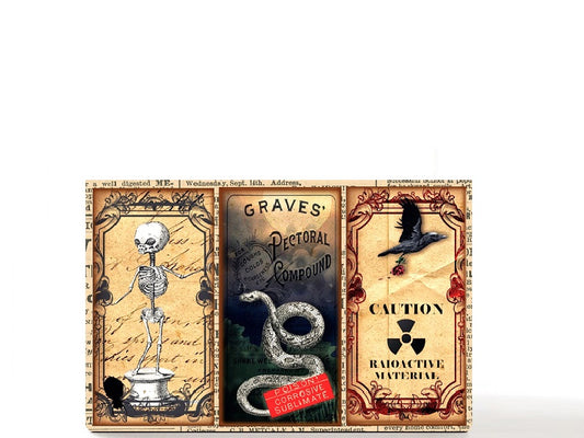 Tarot gothic Halloween magnetic personalized makeup palette for single eyeshadow pans. The Serpent