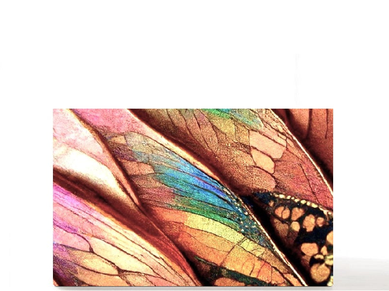 Pretty outdoor nature. Custom magnetic empty makeup palette gift for her. Colorful Butterfly